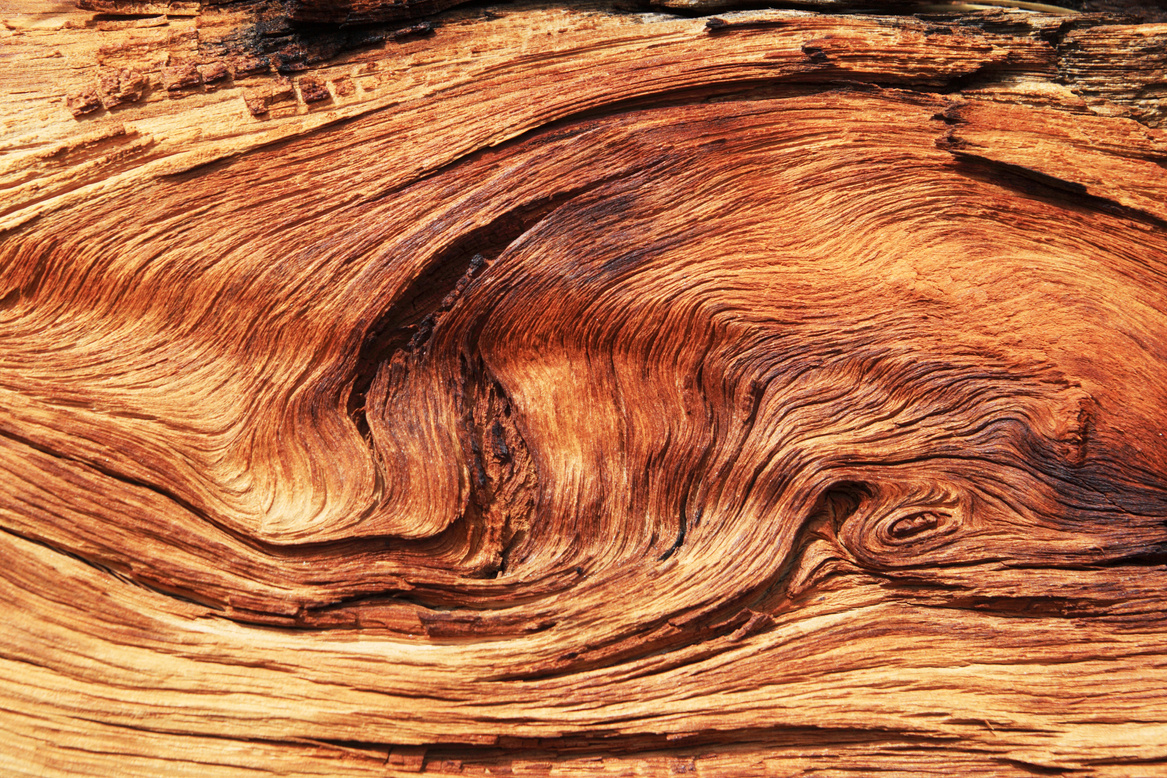 Twisted Wood Grain