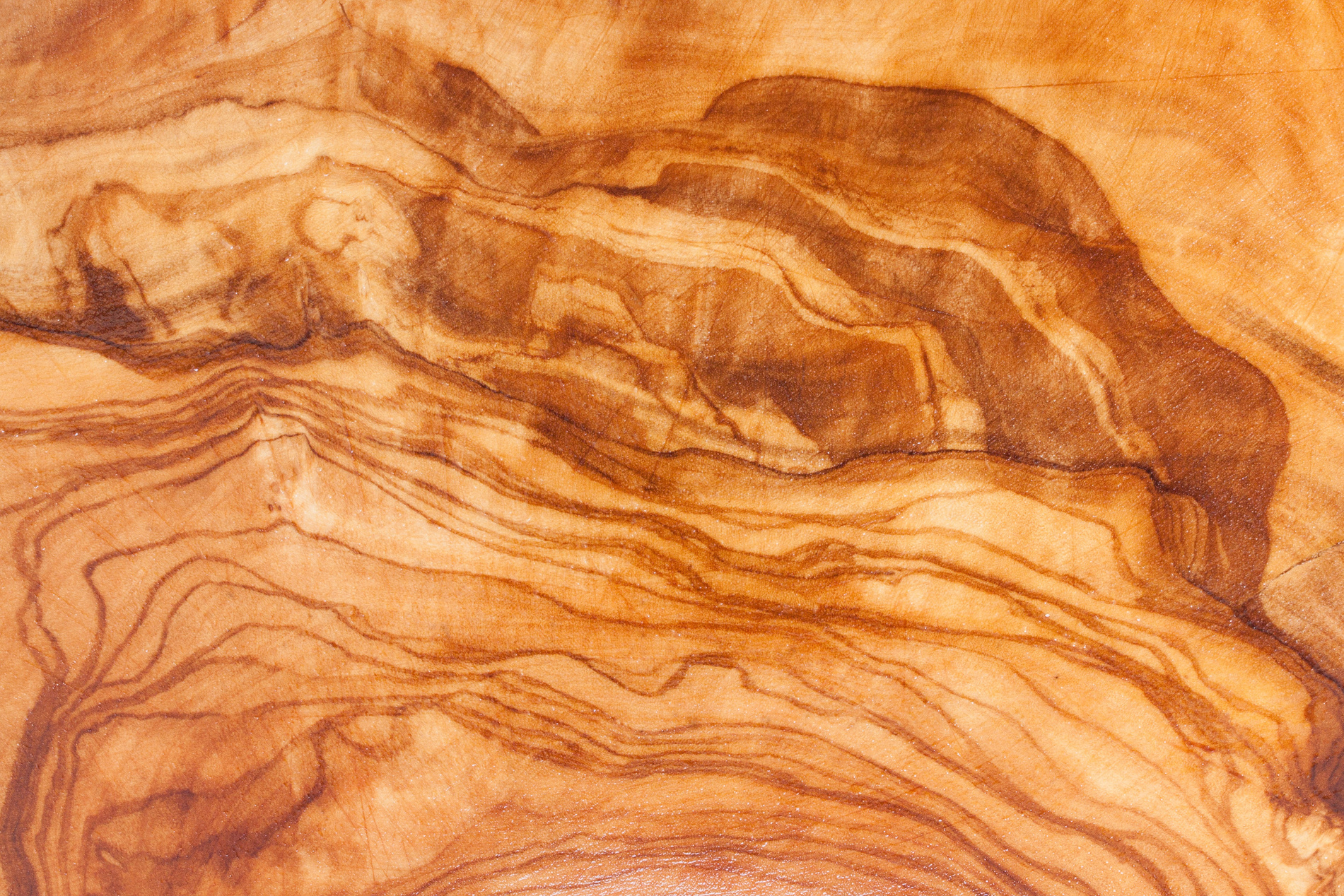 Olive Wood Surface